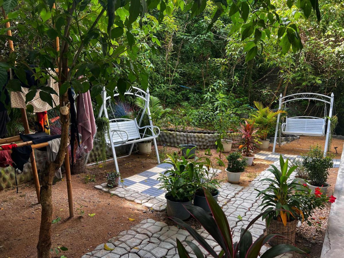 Wonderland Jungle Hostel