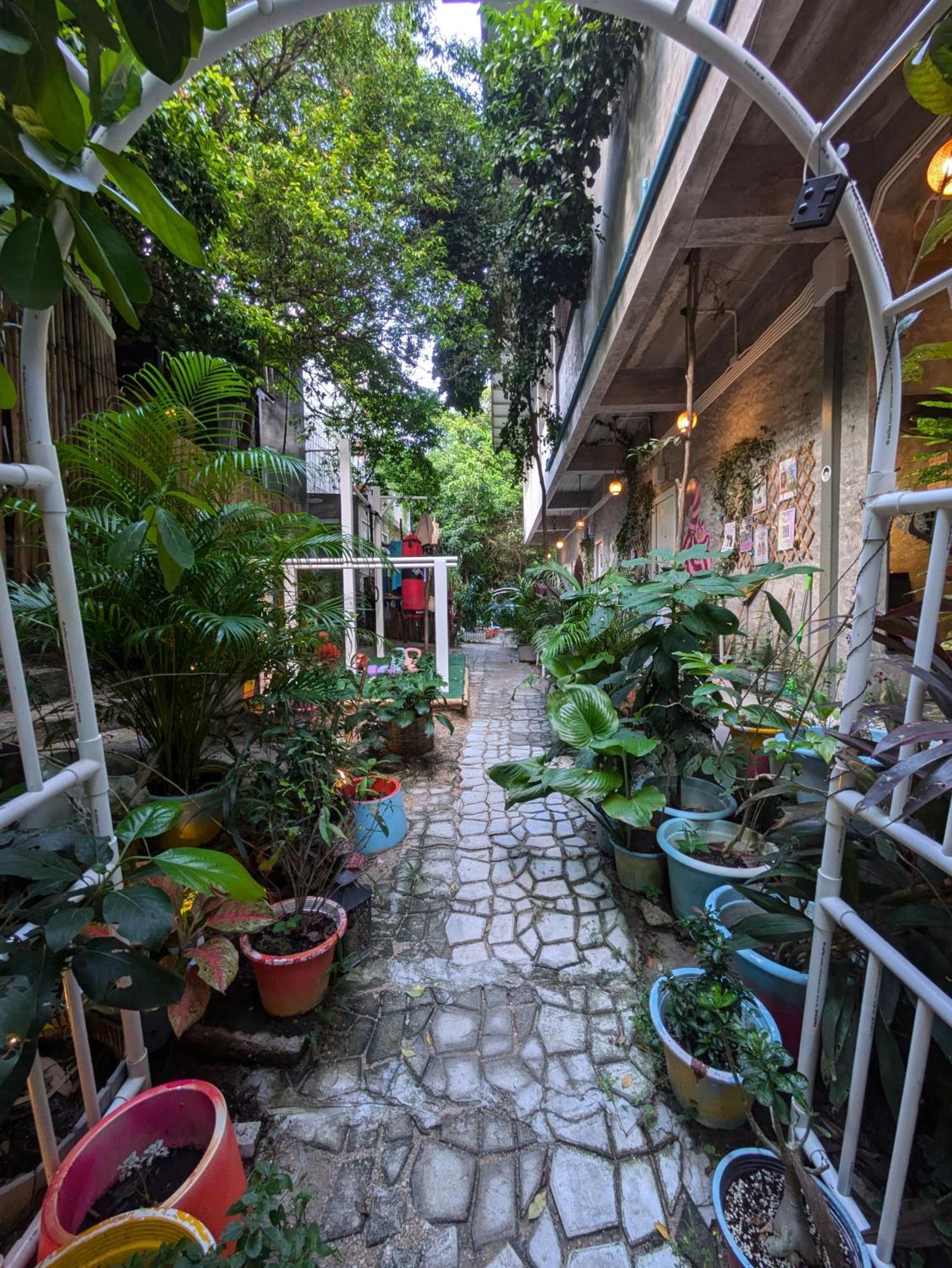 Hostel Wonderland Jungle *